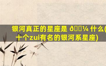 银河真正的星座是 🌼 什么(十个zui
有名的银河系星座)